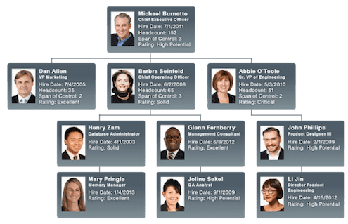 orgchart platinum org chart amp workforce planning southern company salary chart